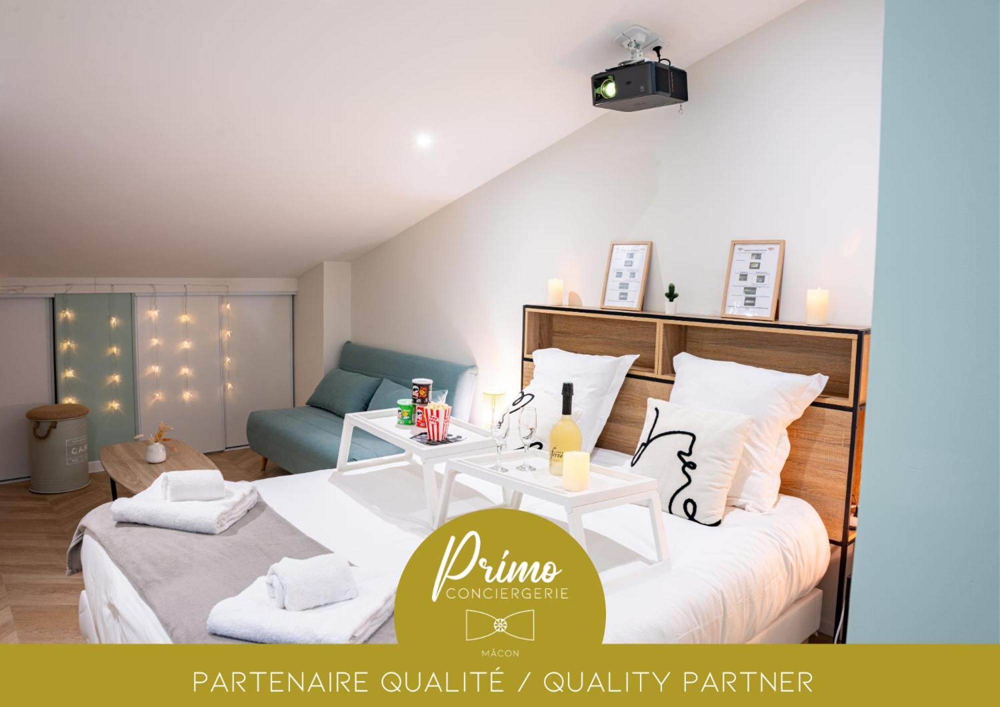 Food And Chill - Deux Appartements Hypercentre - 1 Theme Cinema - By Primo C0Nciergerie تورنو المظهر الخارجي الصورة